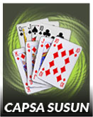 capsa susun